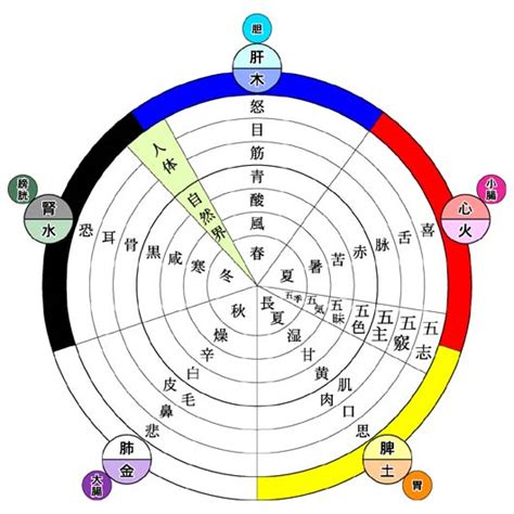 五行目|五行